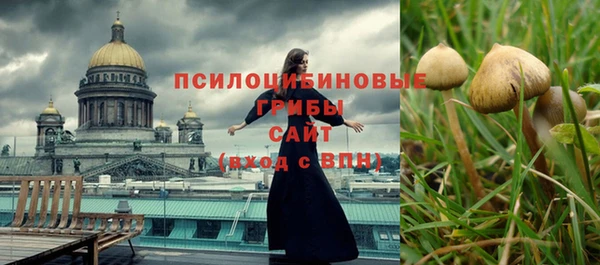 mdpv Козельск