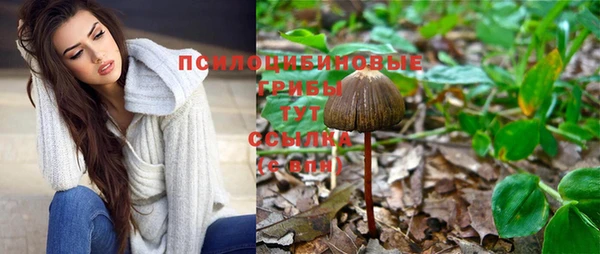 ешки Снежногорск