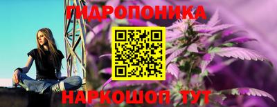 хмурый Аргун